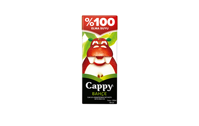 Cappy Elma Suyu (200 ml.)